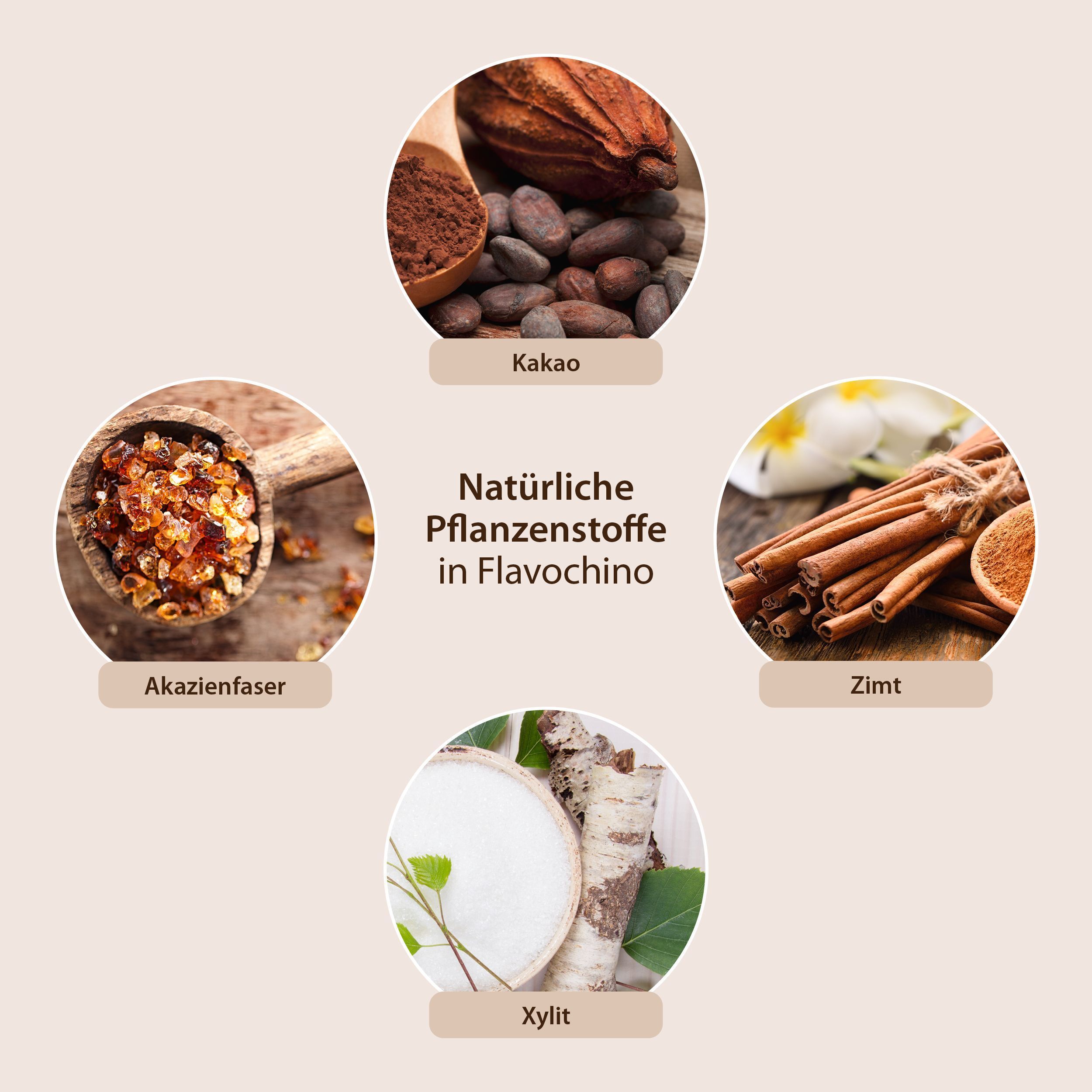 Nahaufnahme von Zutaten: Kakao, Akazienfaser, Zimt, Xylit. Text: Natürliche Pflanzenstoffe in FLAVOCHINO.