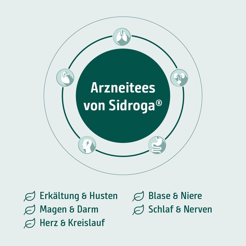 Kreisdiagramm mit Symbolen für Atemwege, Magen-Darm, Herz, Blase, Nieren, Schlaf.