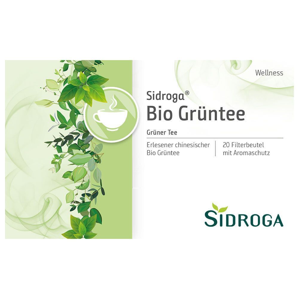 Nahaufnahme einer Packung SIDROGA Bio Grüner Tee. Produktname, Marke und die Angabe "20 Filterbeutel mit Aromaschutz" sind deutlich sichtbar.
