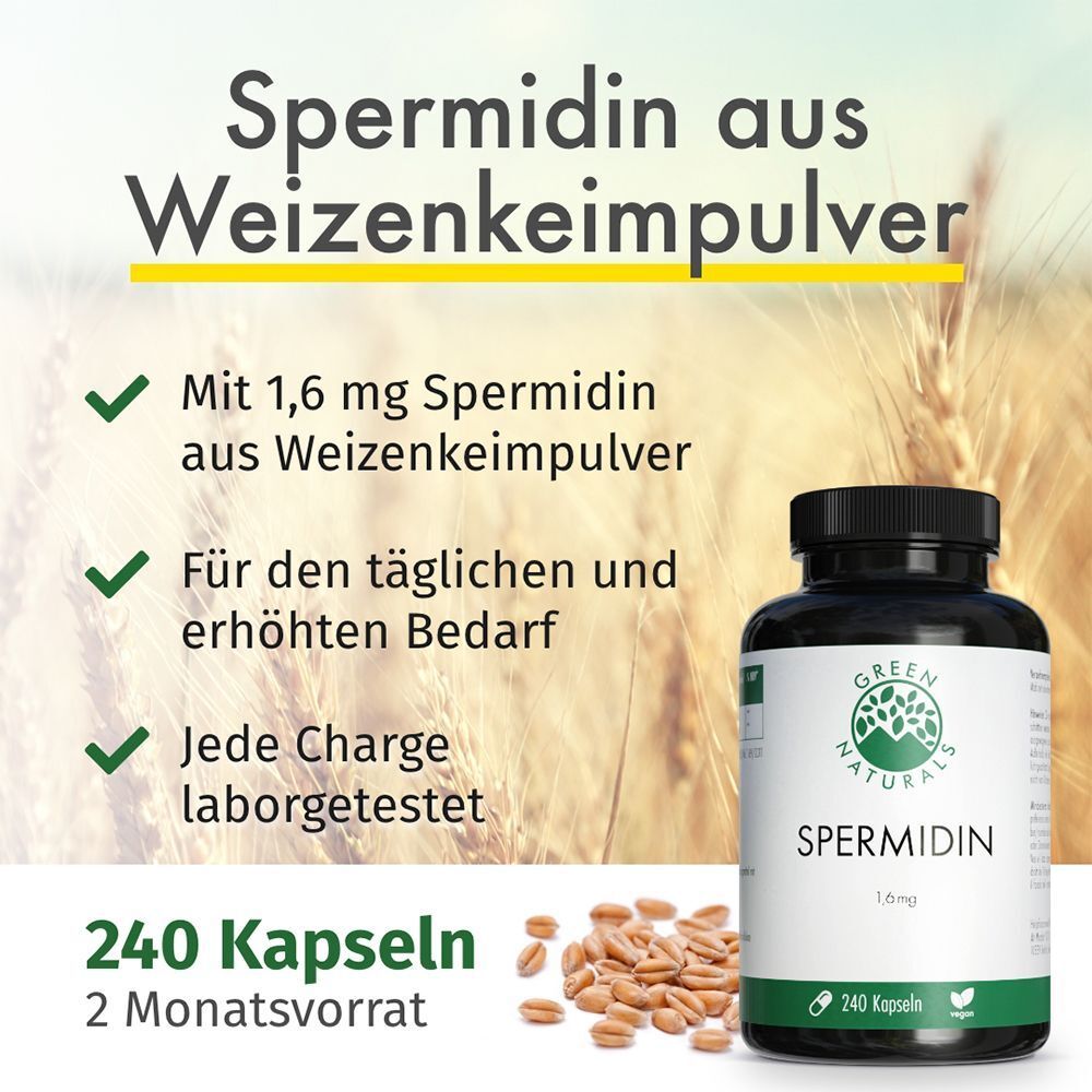 Flasche GREEN NATURALS Spermidin 1,6 mg vegan. Text: 240 Kapseln, 2 Monatsvorrat. Mit 1,6 mg Spermidin aus Weizenkeim.