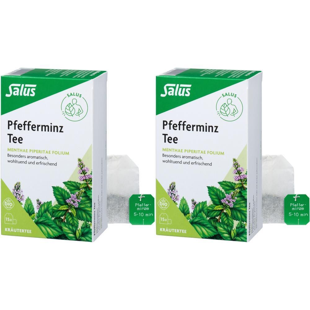 Pfefferminz TEE Menthae piperitae folium Bio Salus 2x 2x15 St Filterbeutel