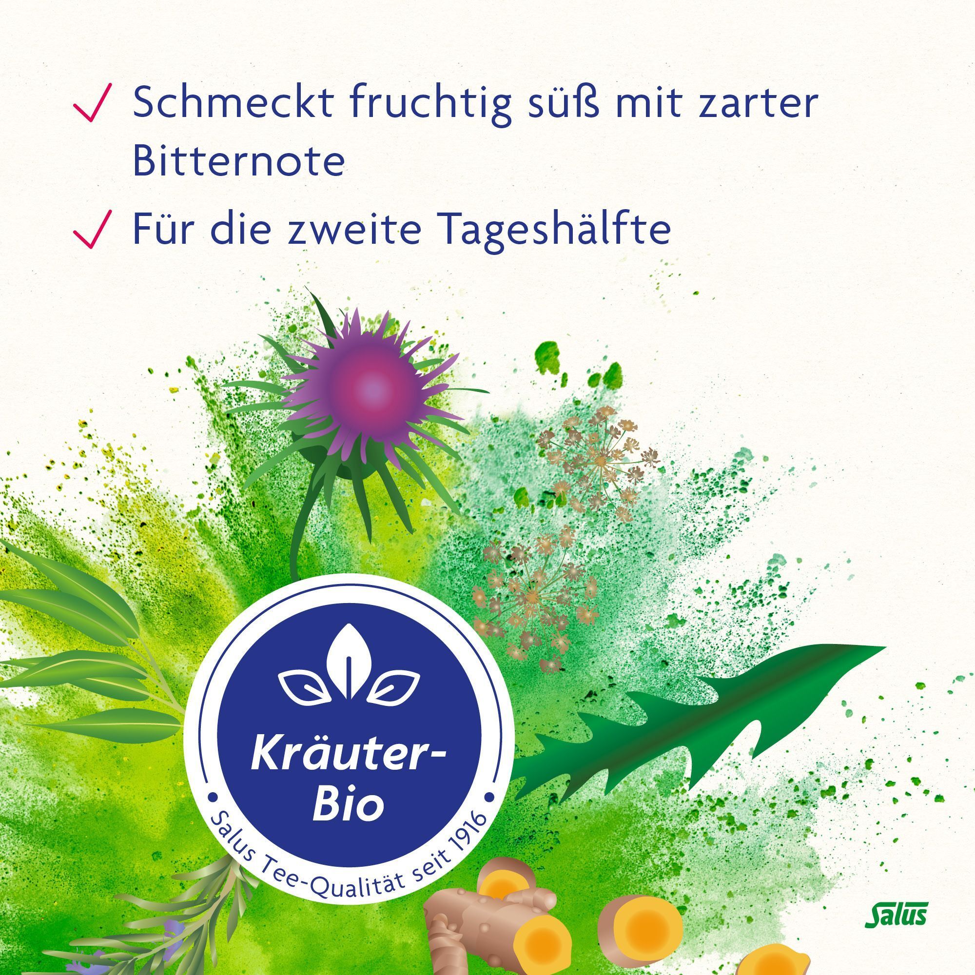 Bio-Siegel, Kräuter-Bio. Text: Schmeckt fruchtig süß mit zarter Bitternote. Für die zweite Tageshälfte. Salus Tee Qualität seit 1916.