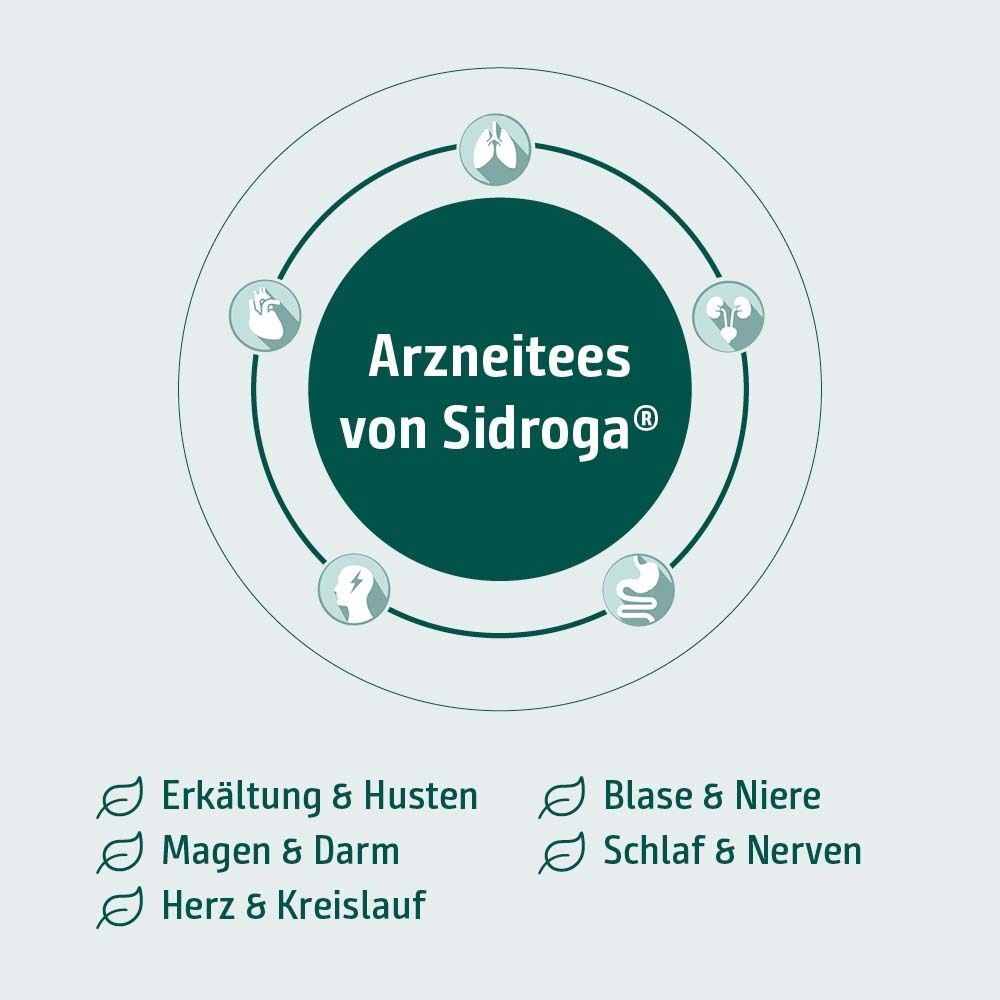 Kreisdiagramm mit Icons für Lunge, Magen, Herz, Blase/Niere, Schlaf/Nerven. Arzneitees von Sidroga.