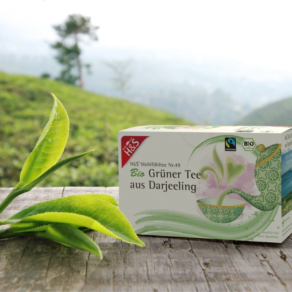 Teepackung auf Holz. Im Hintergrund grüne Blätter und Landschaft. Aufschrift: H&S Bio Grüner Tee aus Darjeeling.
