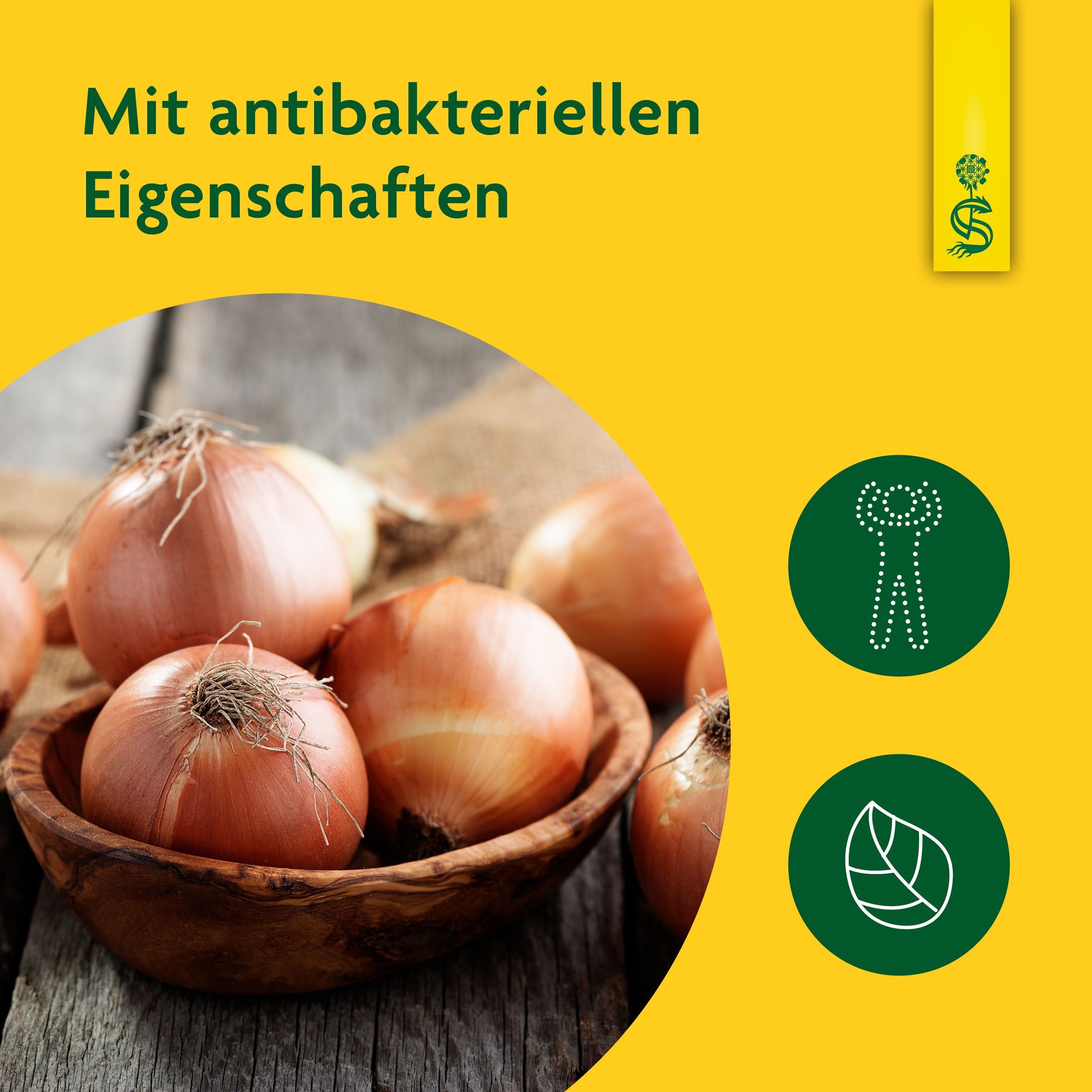 Schüssel mit Zwiebeln, daneben Kreise mit Symbolen für antibakterielle Eigenschaften und Blätter.