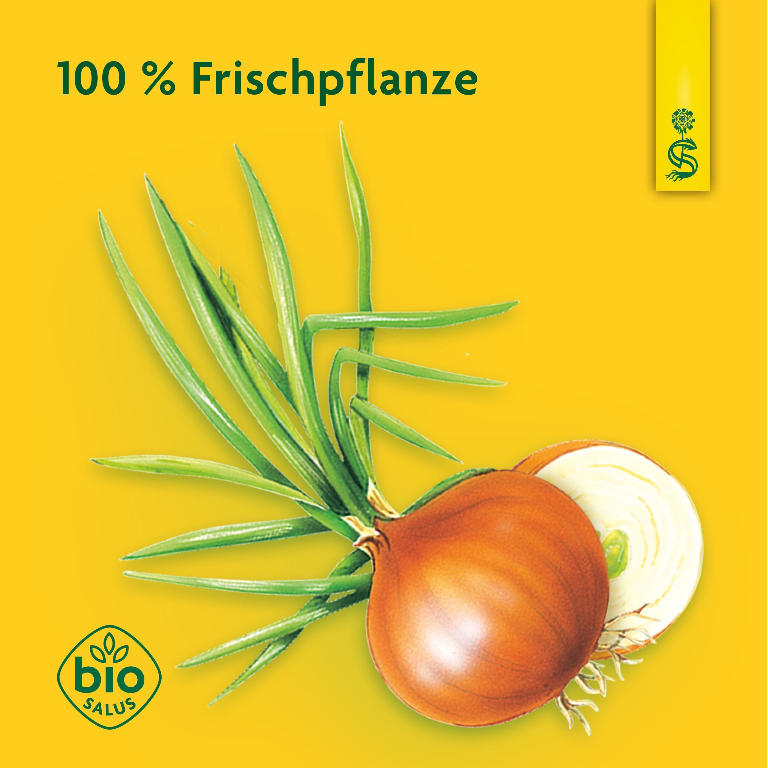 Frische Zwiebel mit grünen Halmen und Schnittansicht. Bio Salus Siegel.