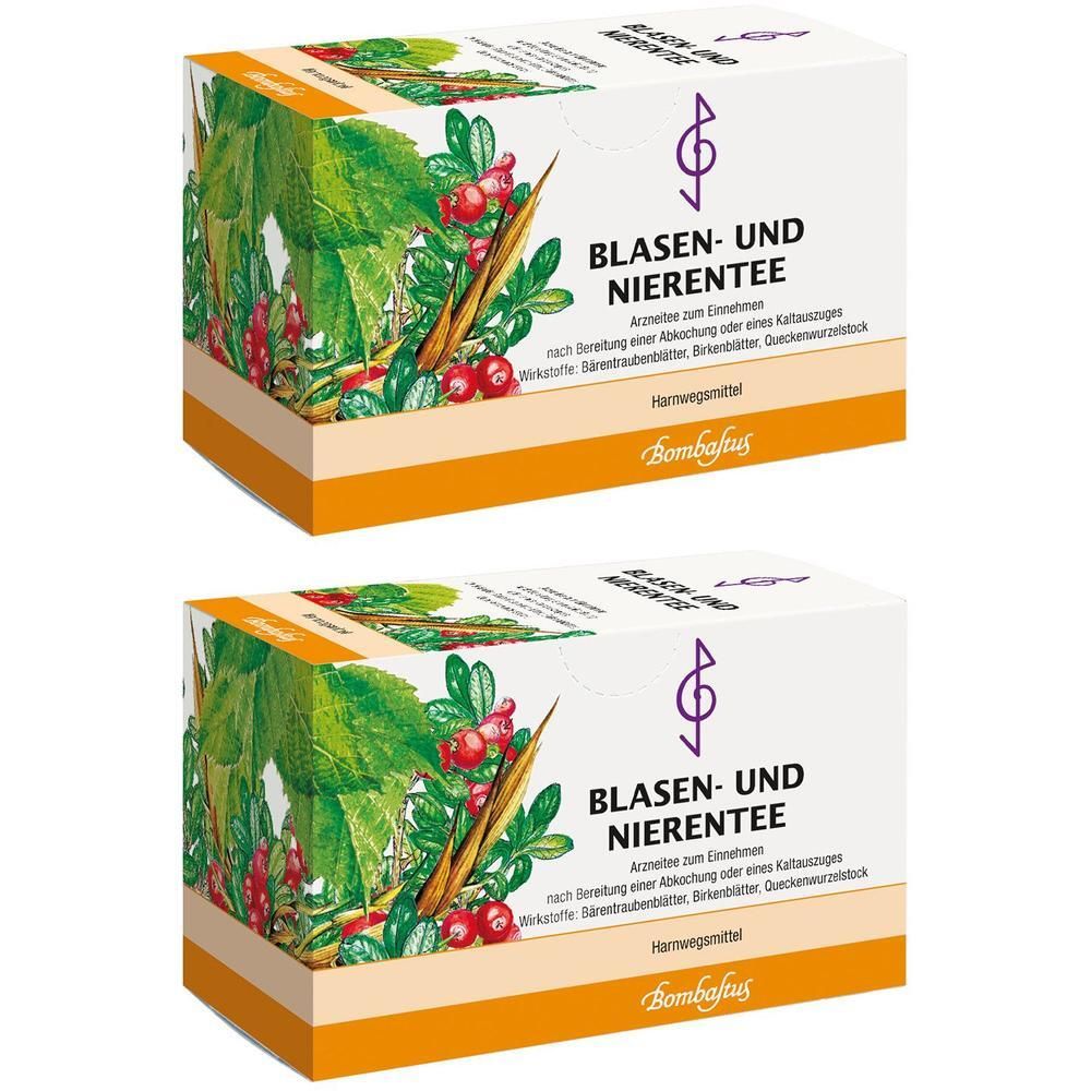 Blasen UND Nierentee VII Bombastus Filterbeutel 2x 2x20x2 g