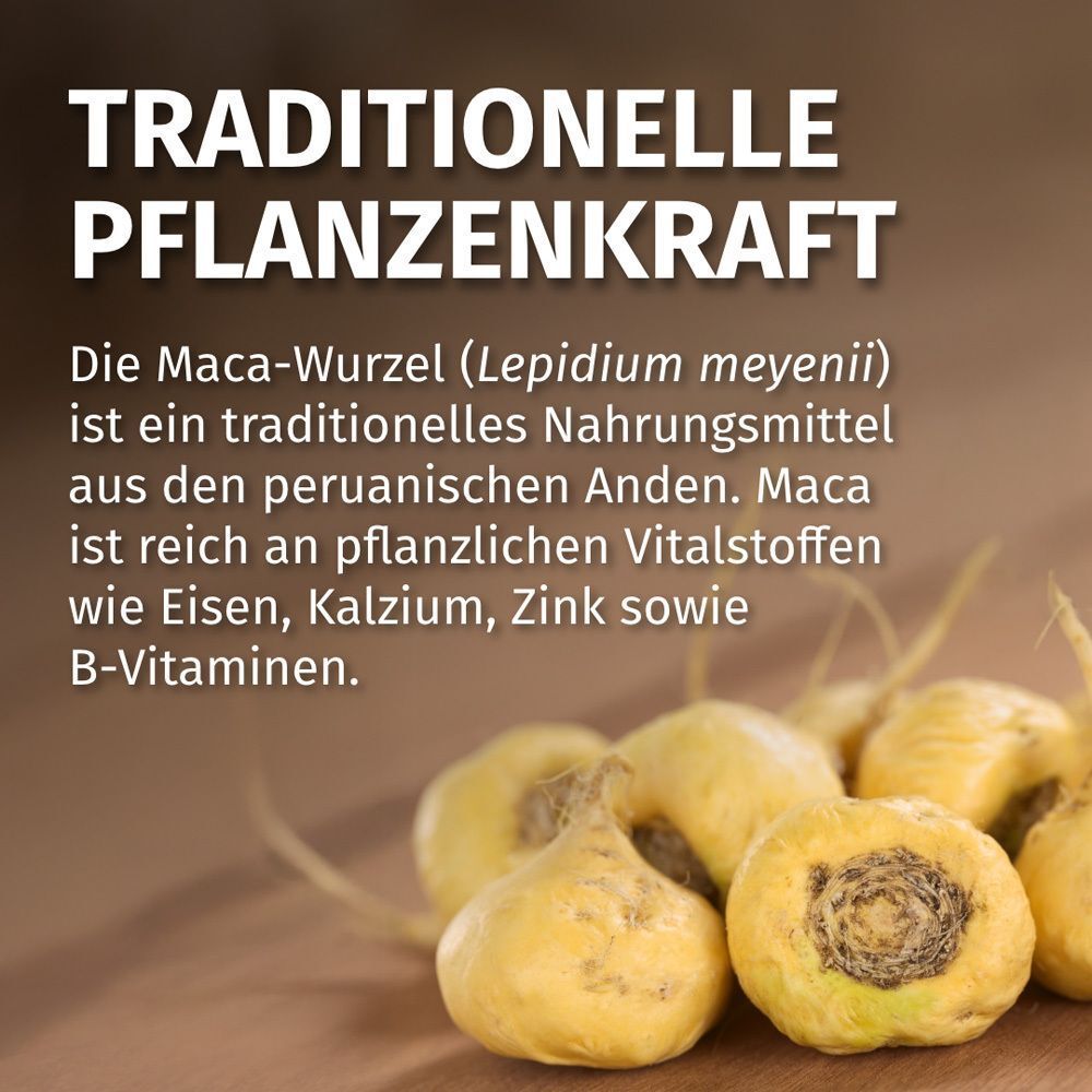 Nahaufnahme von Maca-Wurzeln. Gelbliche Farbe, unregelmäßige Form. Text: TRADITIONELLE PFLANZENKRAFT. Text über Inhaltsstoffe.
