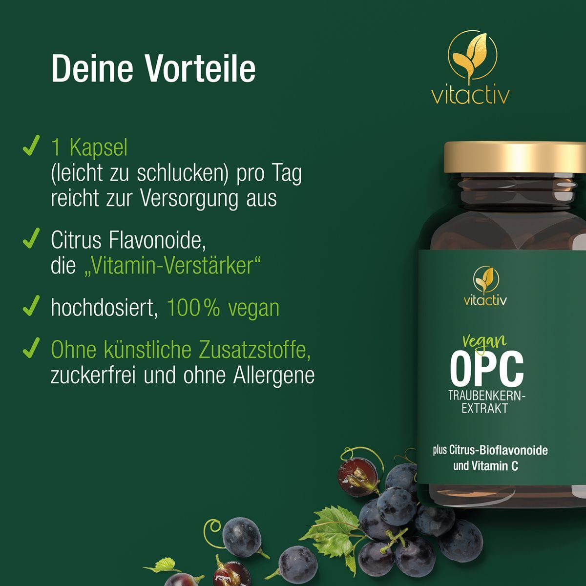 Eine Flasche "vitactiv OPC" neben Text. Text: "1 Kapsel pro Tag", "Citrus Flavonoide", "hochdosiert, 100% vegan".