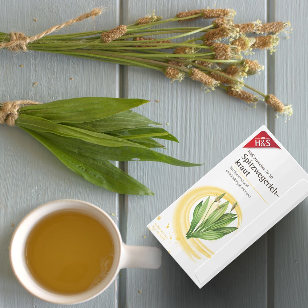 H&S Spitzwegerichkraut Tee Nr. 30 neben einer Tasse Tee und frischen Spitzwegerich-Pflanzen.