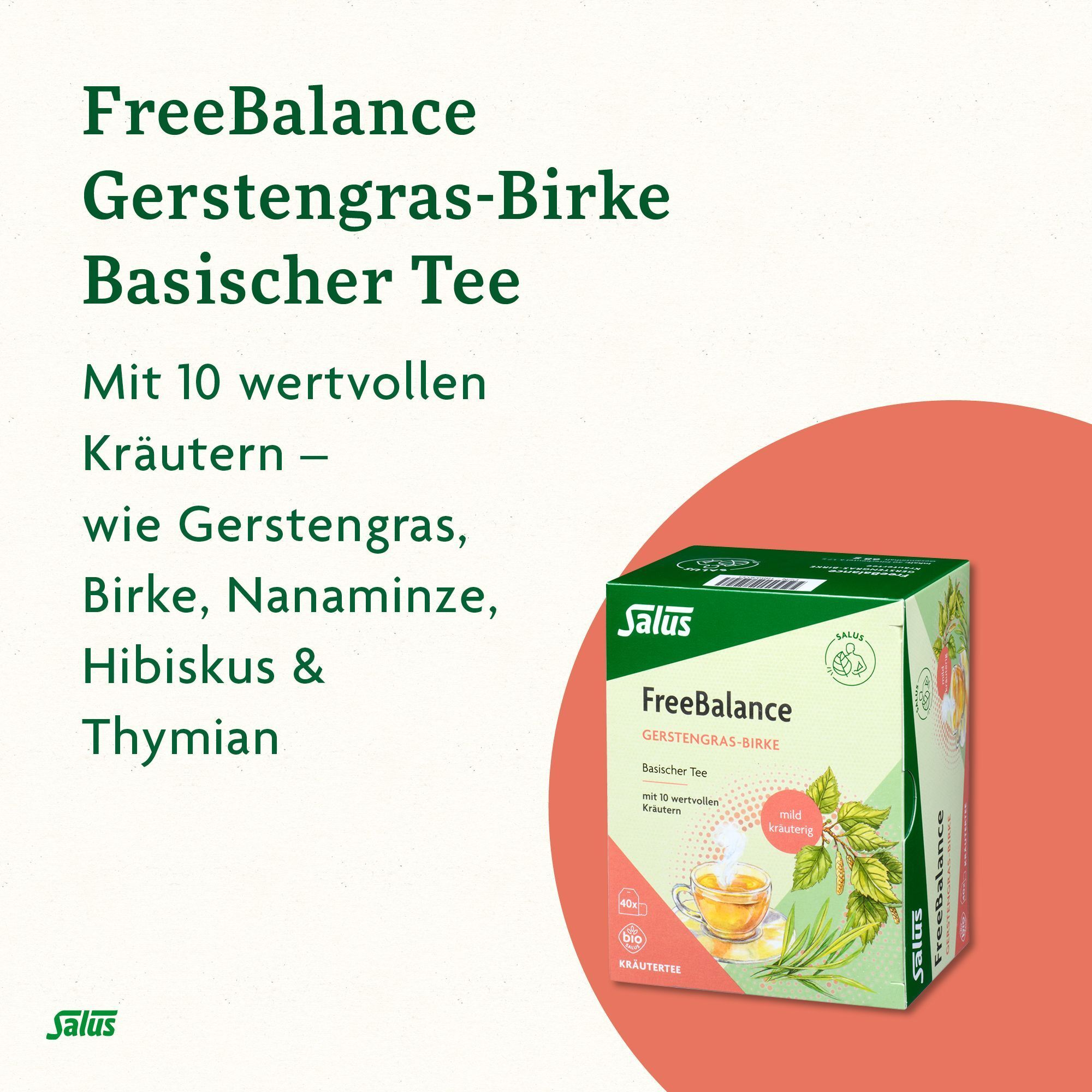 Packung Salus FreeBalance Gerstengras-Birke Basischer Tee. Text: Mit 10 wertvollen Kräutern. Salus Logo.