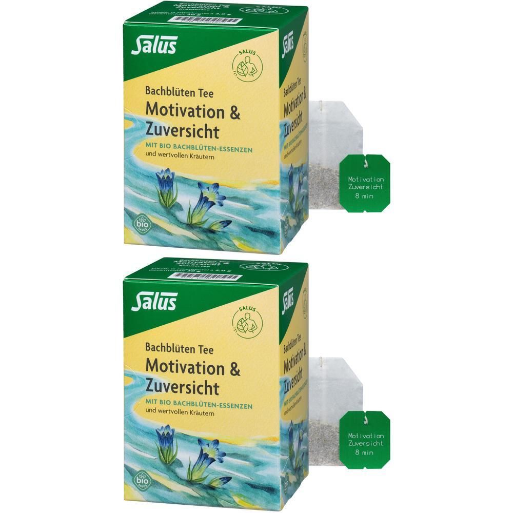 Bachblüten TEE Motivation&Zuversicht Bio Salus Fbt 2x 2x15 St Filterbeutel