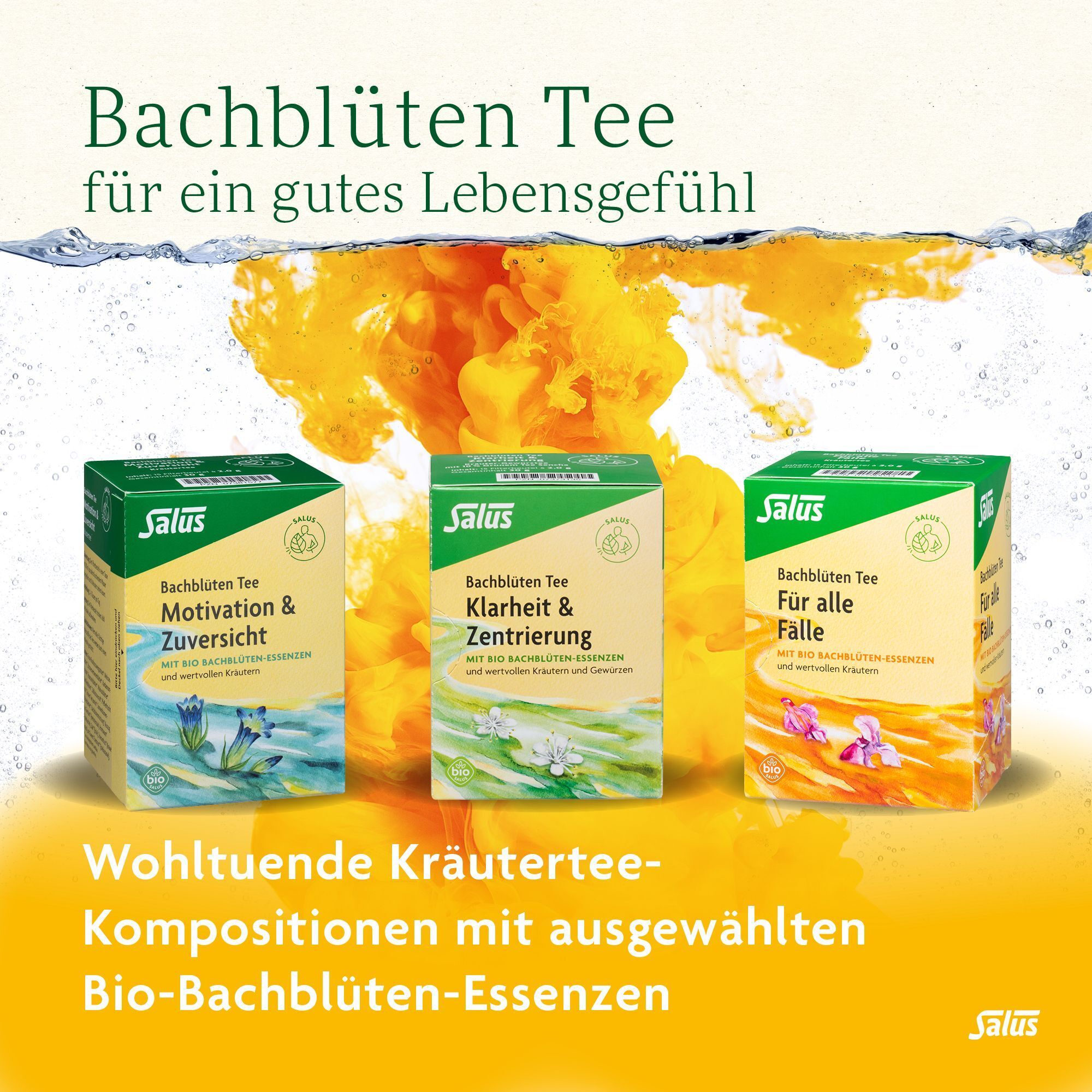 Drei Teepackungen. Aufschrift: Bachblüten Tee für ein gutes Lebensgefühl. Marke Salus. Sorten: Motivation & Zuversicht, Klarheit & Zentrierung, Für alle Fälle.