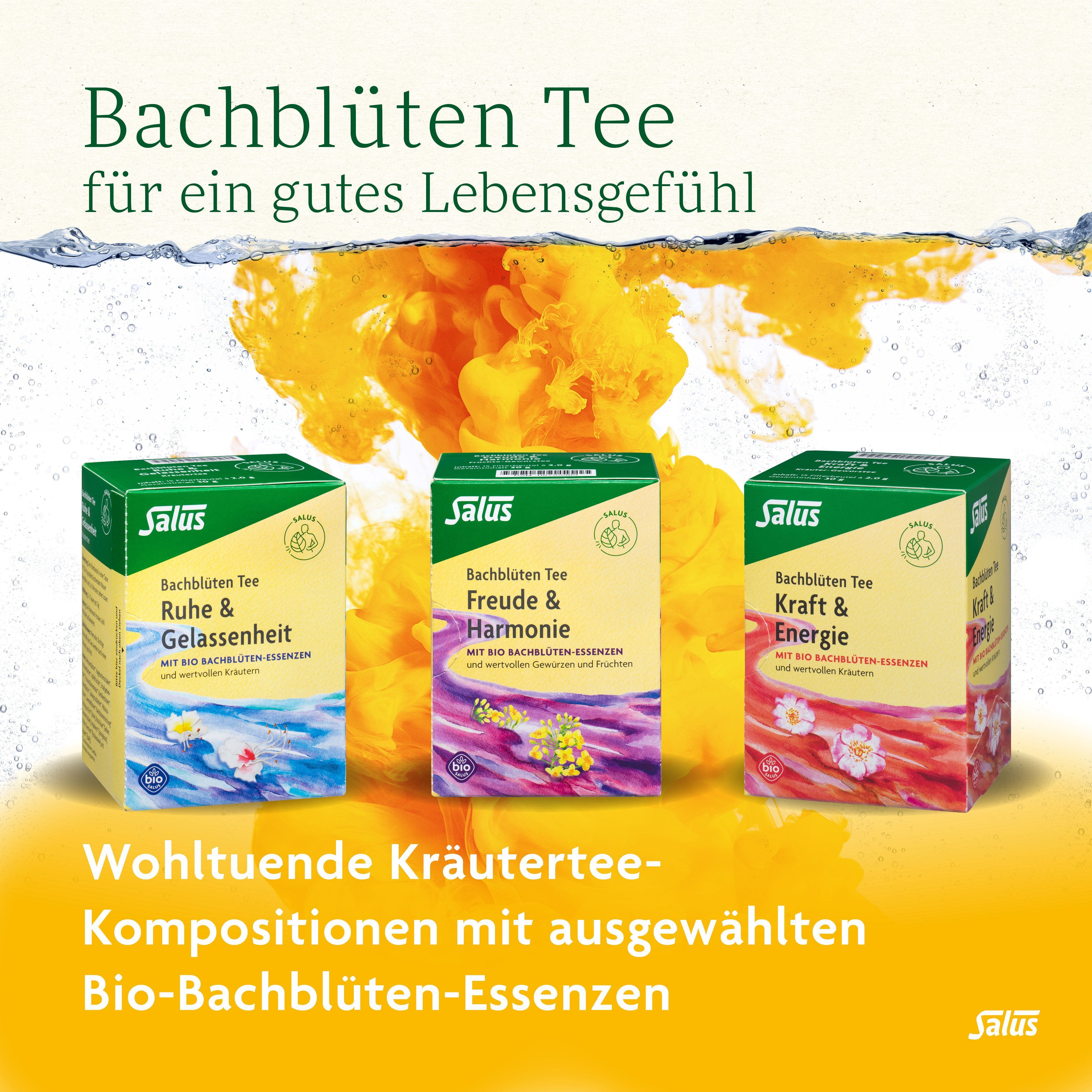 Drei Teepackungen. Aufschrift: Bachblüten Tee. Ruhe & Gelassenheit, Freude & Harmonie, Kraft & Energie. Salus Logo.