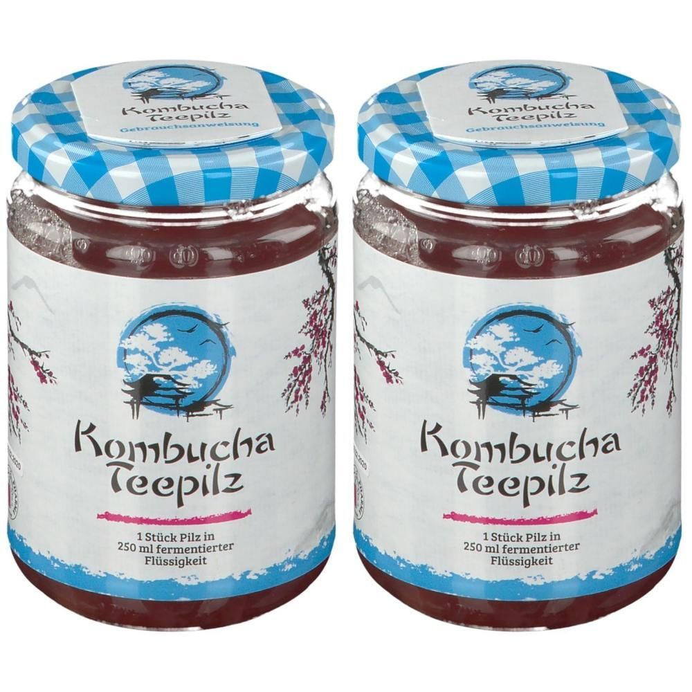 Kombucha Teepilz 2x 2x1 St Tee