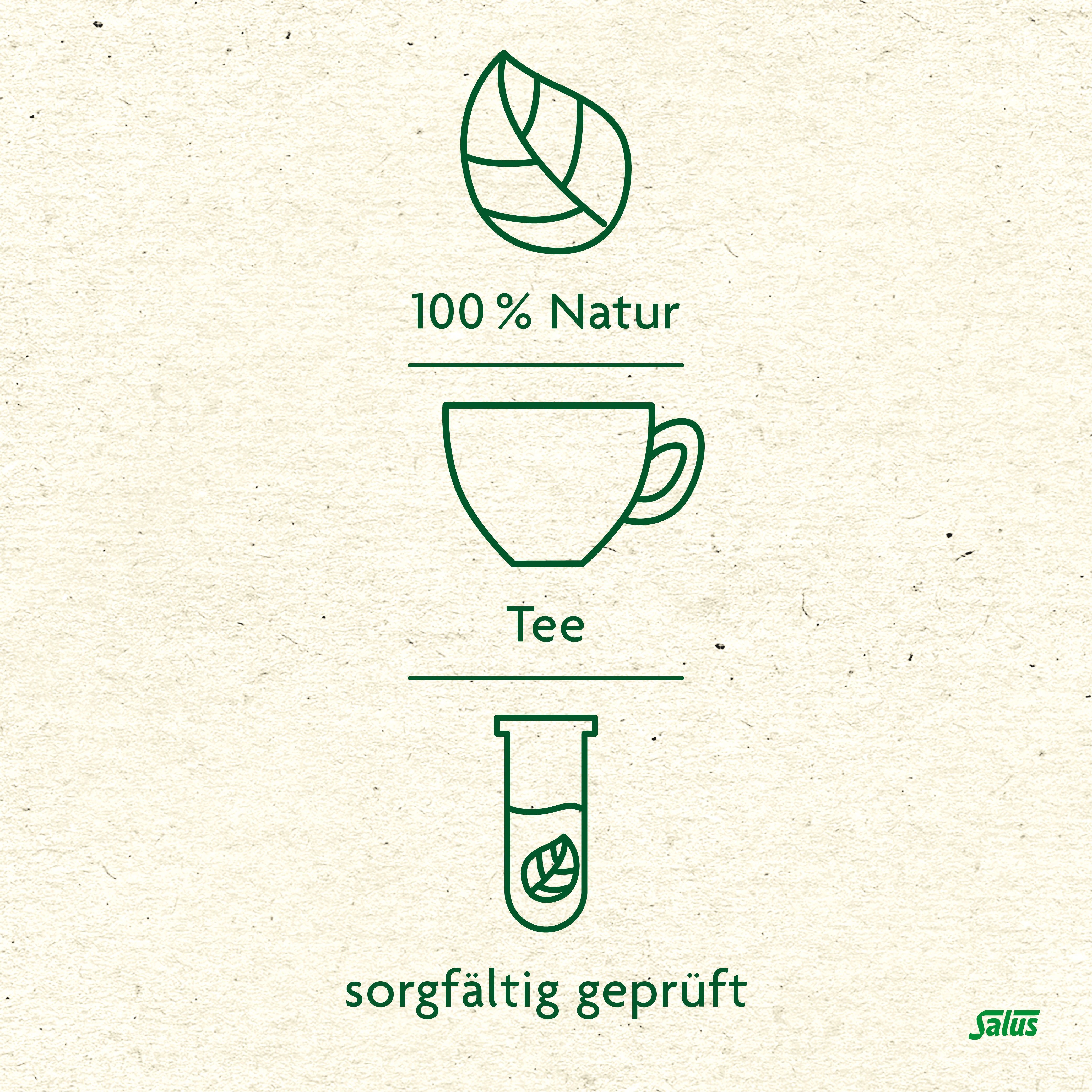 Nieren Blasen Tee Kräutertee Nr.23 Salus Fbtl. 2x 2x15 St Filterbeutel