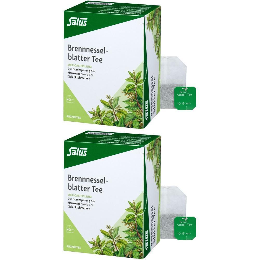 Brennnesselblätter Tee Bio Urticae folium Salus 2x 2x40 St Filterbeutel
