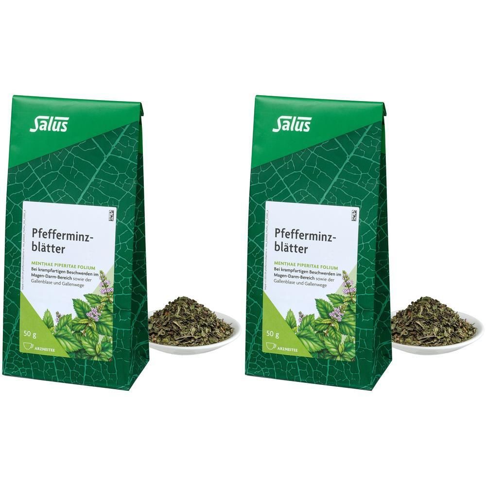 Pfefferminzblätter Arzneitee Bio Salus 2x 2x50 g Tee