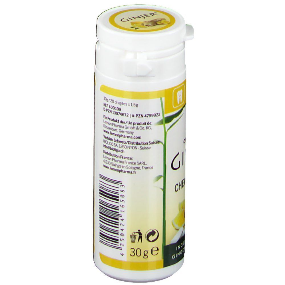 Weiße Flasche mit GINJER-Kaugummi-Etikett. Aufschrift: Original GINJER Chewing-Gum, Ingwer Zitrone. Vegan, Xylit. Seite mit Herstellerinformationen.