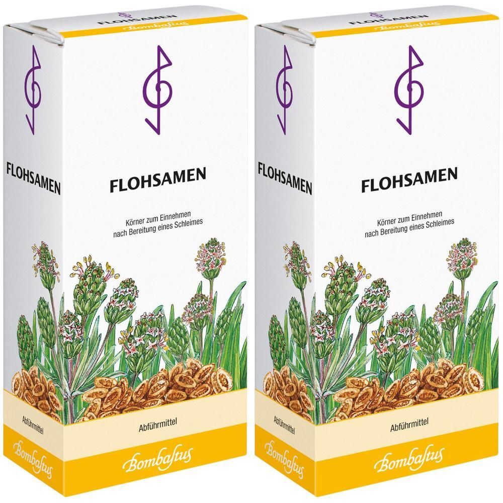 Flohsamen Kerne 2x 2x300 g