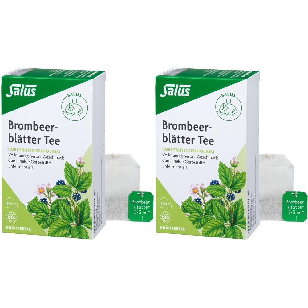 Brombeerblättertee Kräutertee Bio Salus Filterbtl. 2x 2x15 St Filterbeutel