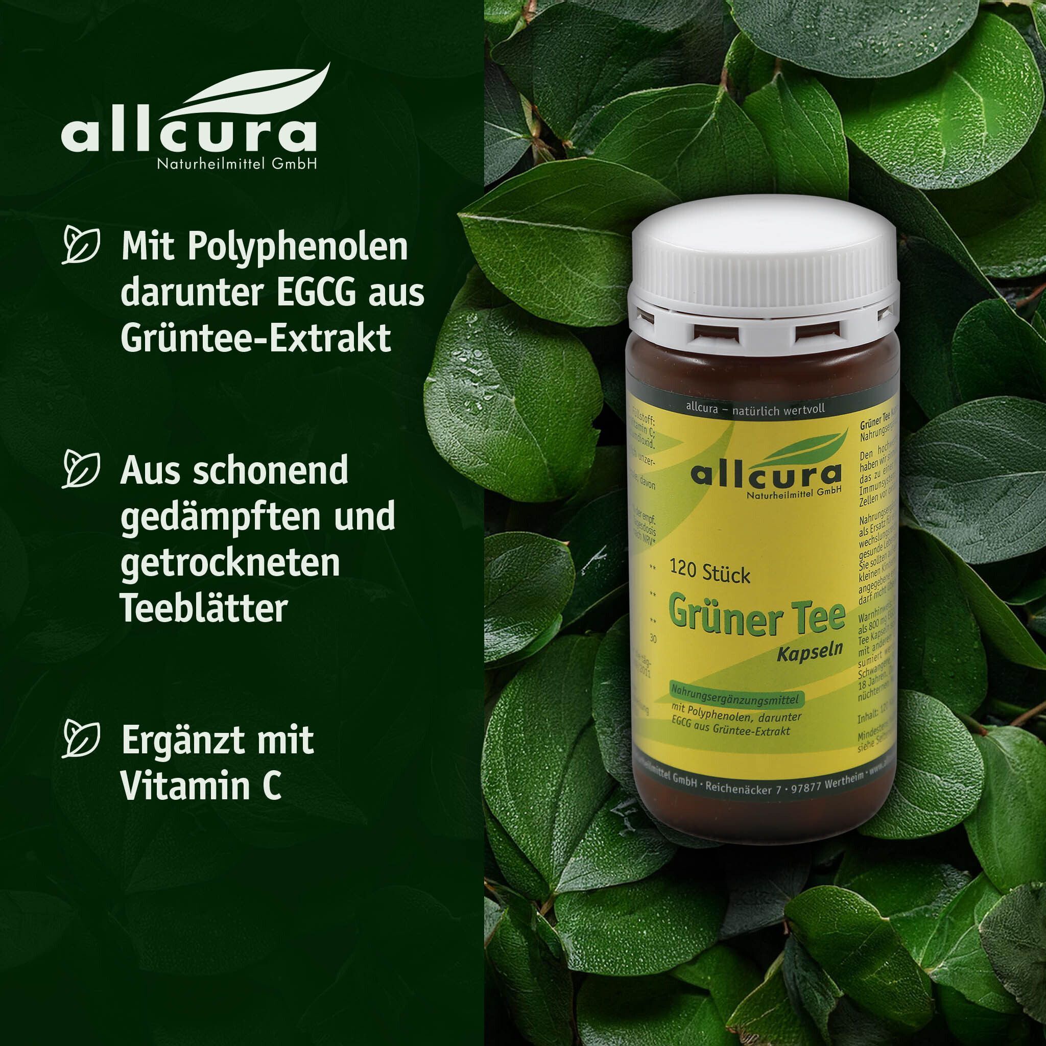 Braune Flasche mit weißem Deckel. Aufschrift: 120 Stück GRÜNER TEE Kapseln. Marke: allcura. Umgeben von grünen Blättern.