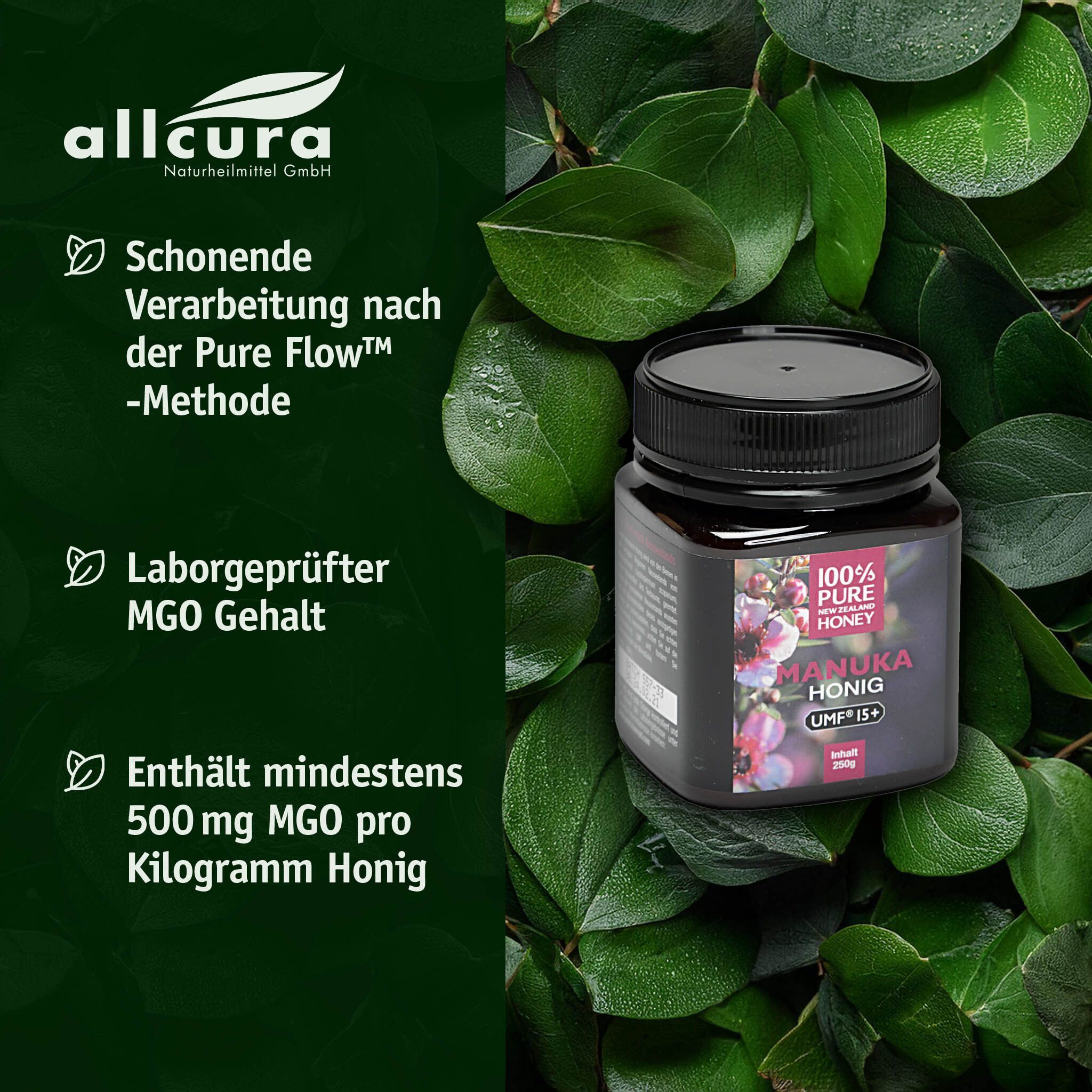 Honigglas mit schwarzem Deckel. Aufschrift: MANUKA HONIG, UMF 15+. Umgeben von Blättern.