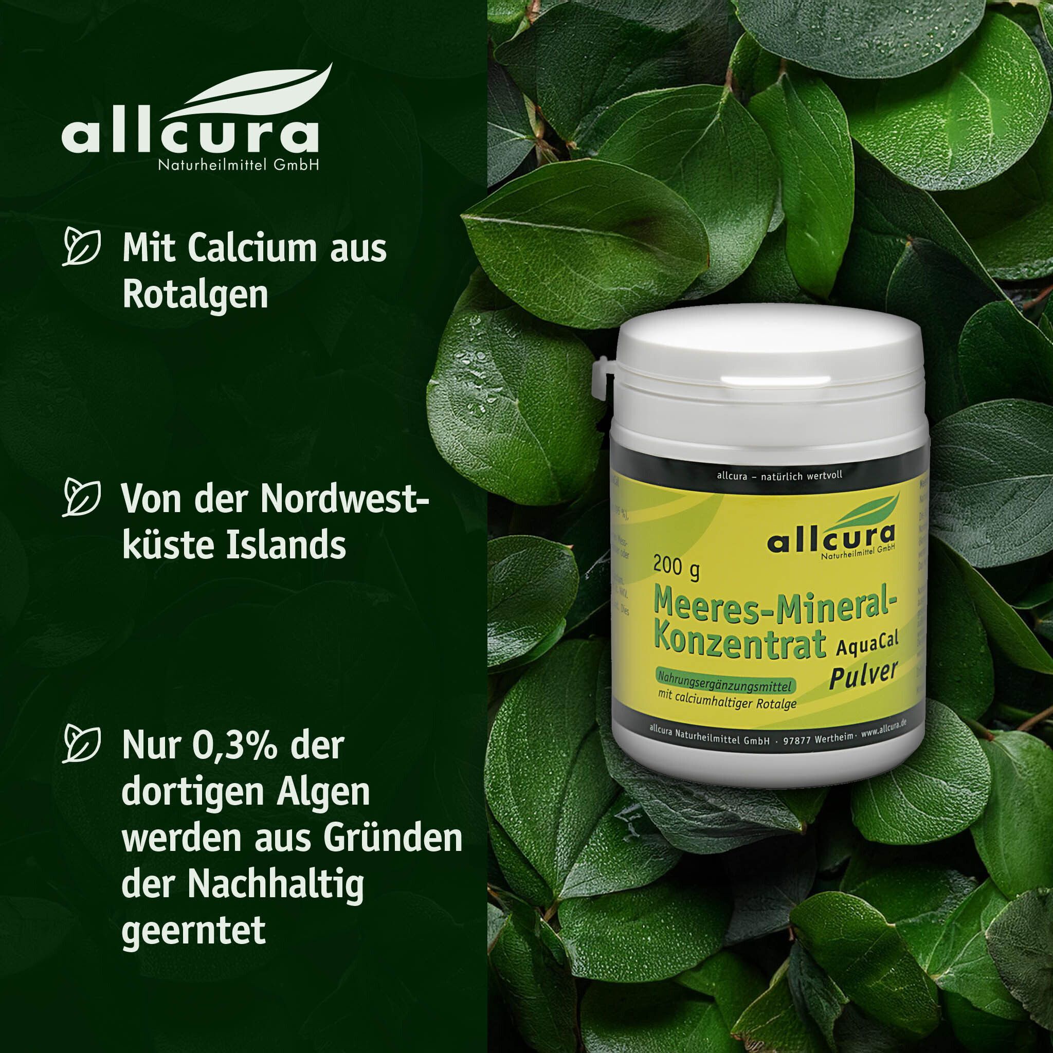 Weiße Dose mit gelbem Etikett vor grünem Hintergrund. Aufschrift: Meeres-Mineral-Konzentrat AquaCal Pulver. Marke: allcura.