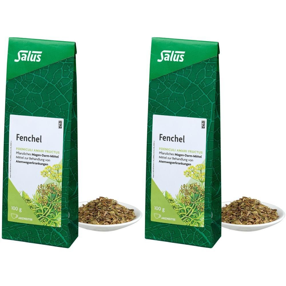 Fenchel Arzneitee Foeniculi amari fruct.Bio Salus 2x 2x100 g Tee