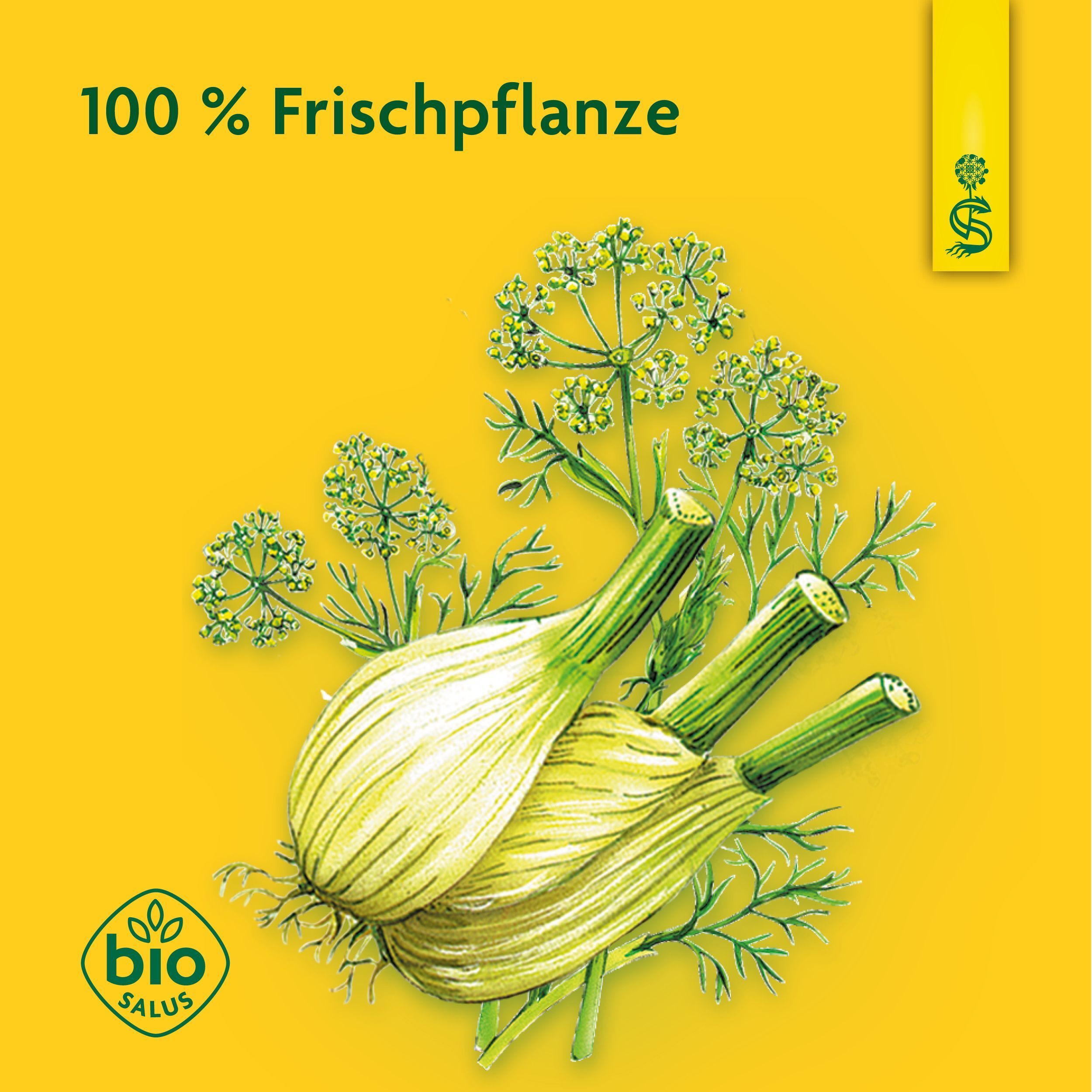 Drei Fenchelknollen mit Blättern und Bio Salus Siegel.