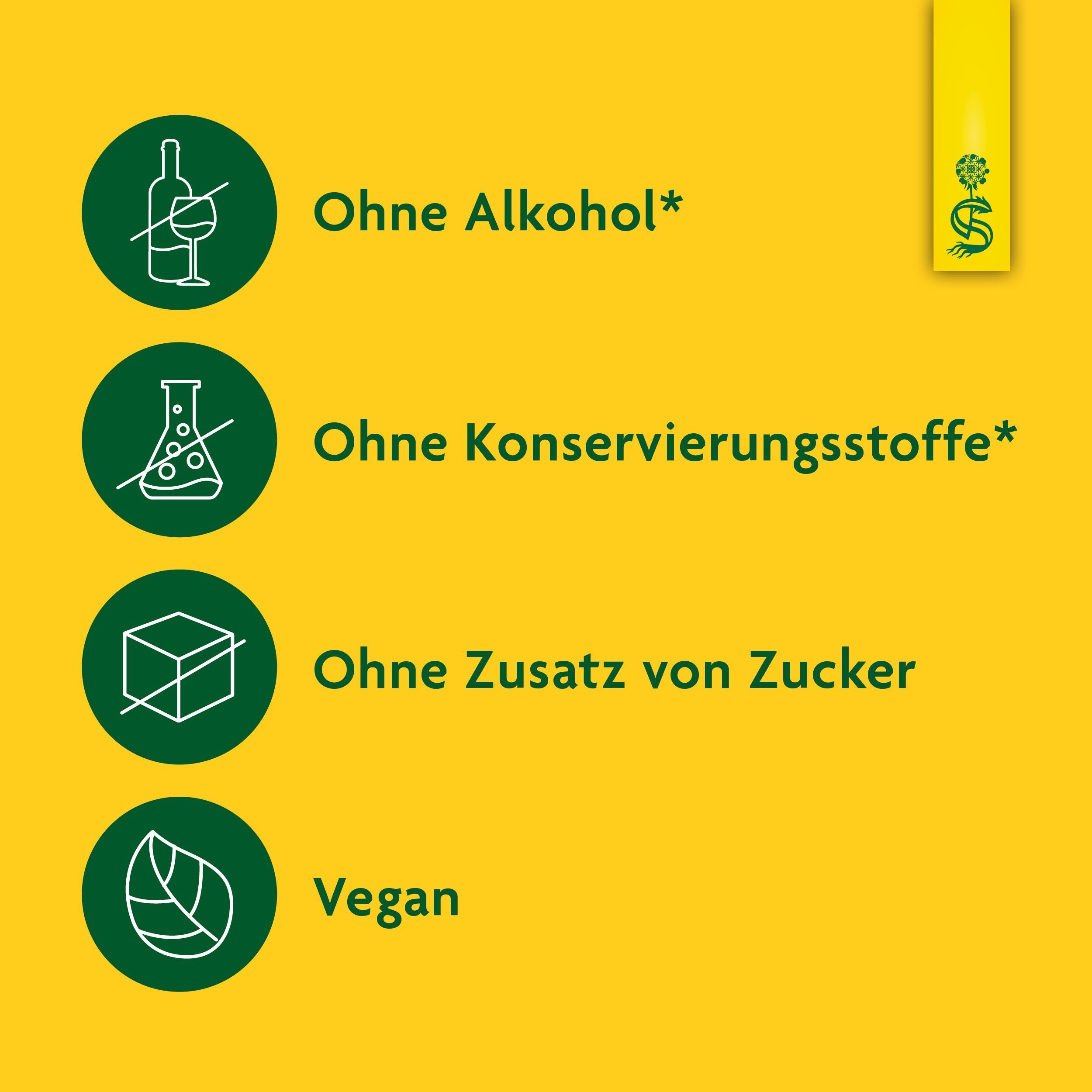 Icons: Ohne Alkohol, Konservierungsstoffe, Zuckerzusatz. Vegan.