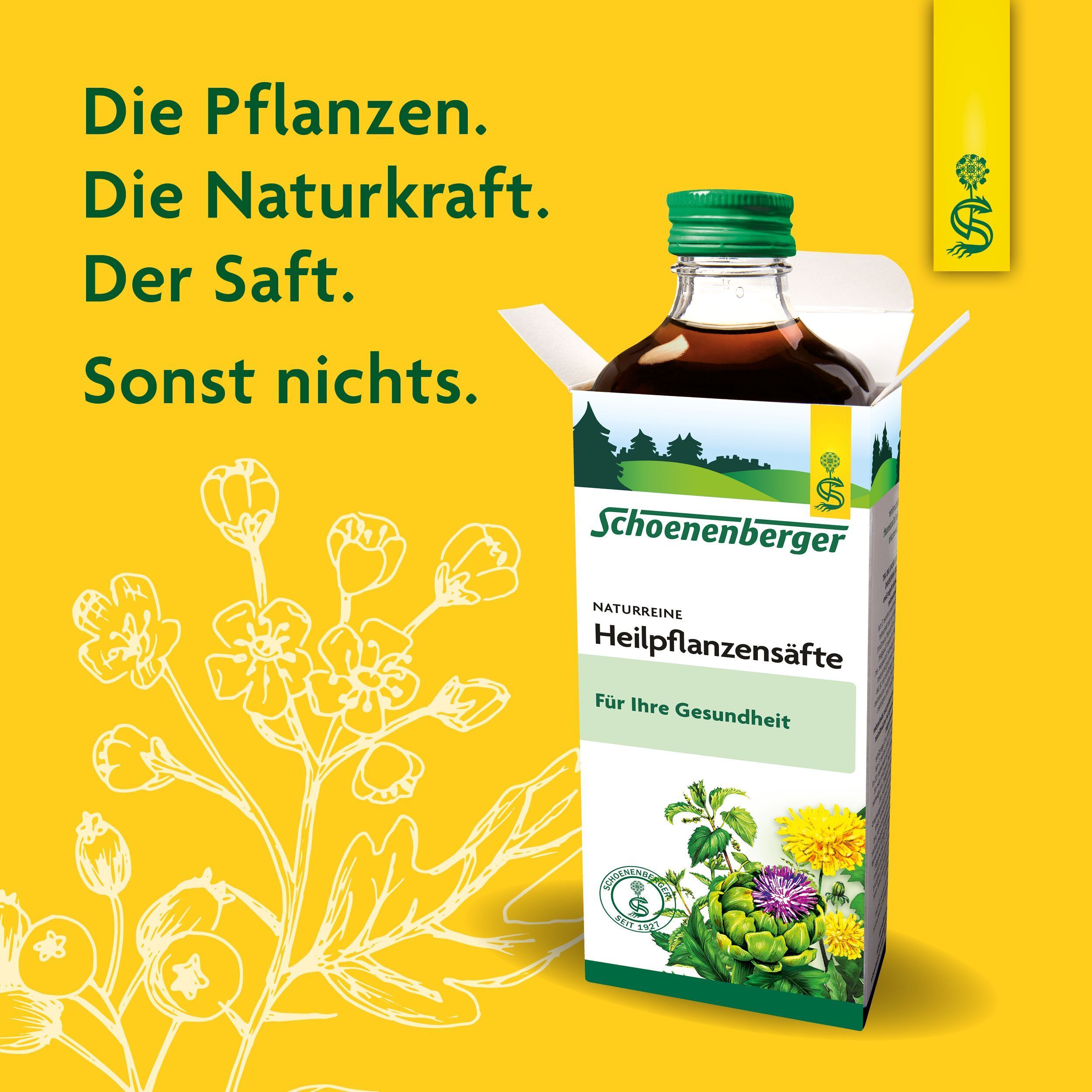 Schoenenberger Heilpflanzensaft Flasche und Karton mit Pflanzenmotiv.