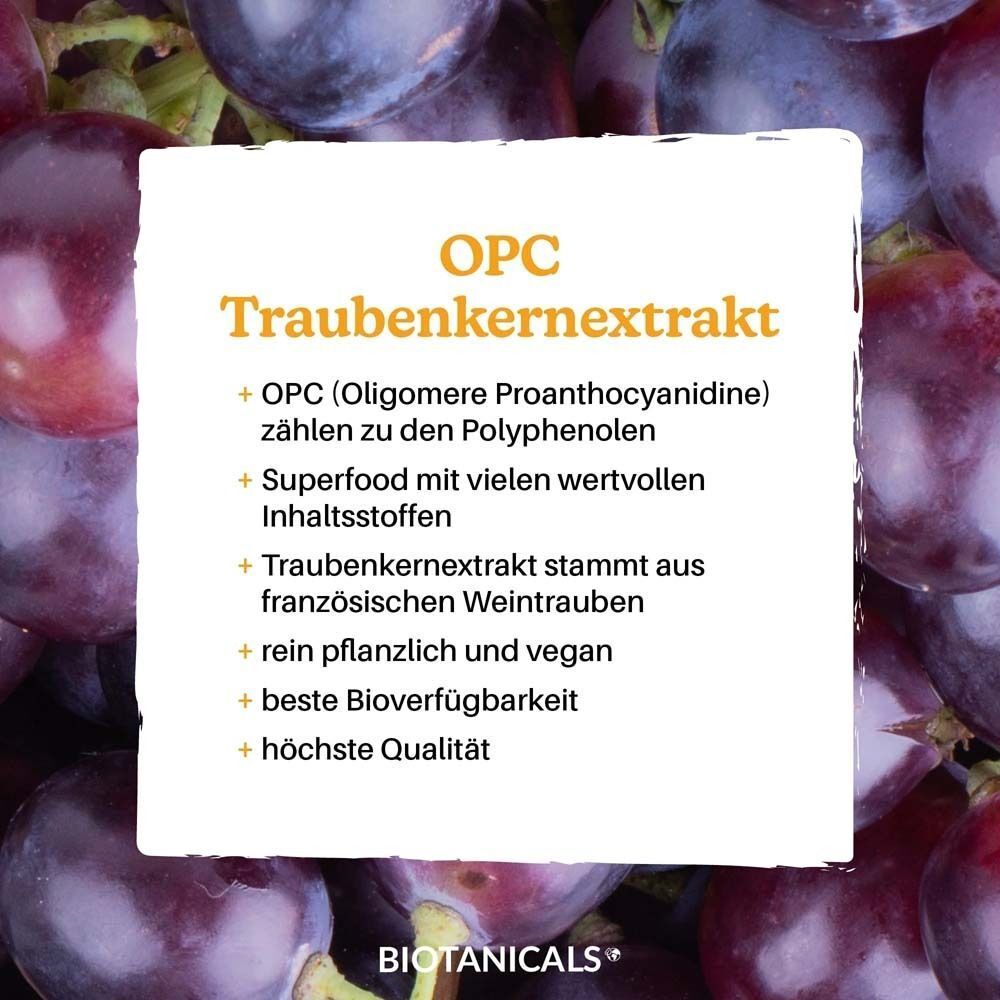 Textfeld mit OPC Traubenkernextrakt. Pluspunkte: Polyphenole, Superfood, aus französischen Weintrauben, vegan, Bioverfügbarkeit, Qualität.