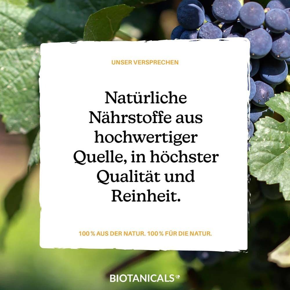 Textfeld: Natürliche Nährstoffe aus hochwertiger Quelle, in höchster Qualität und Reinheit. 100% aus der Natur. Botanicals Logo.