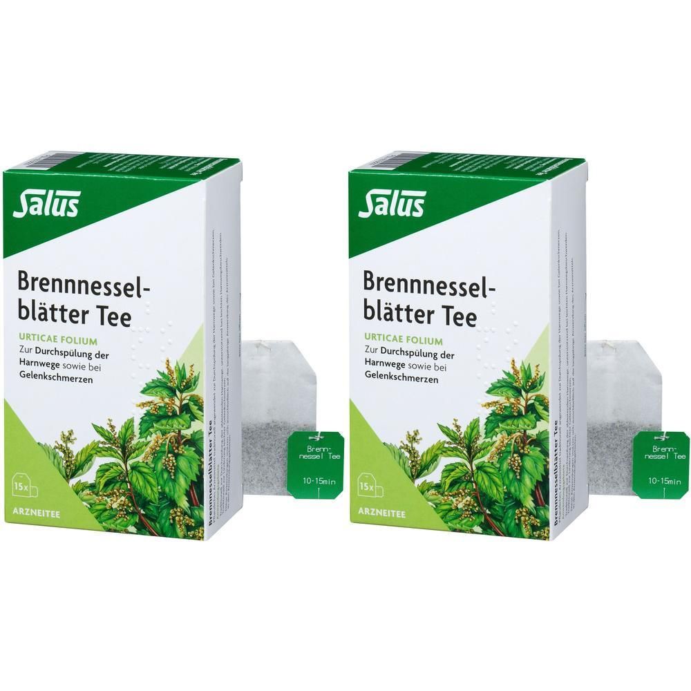 Brennnesselblätter Tee Bio Urticae folium Salus 2x 2x15 St Filterbeutel