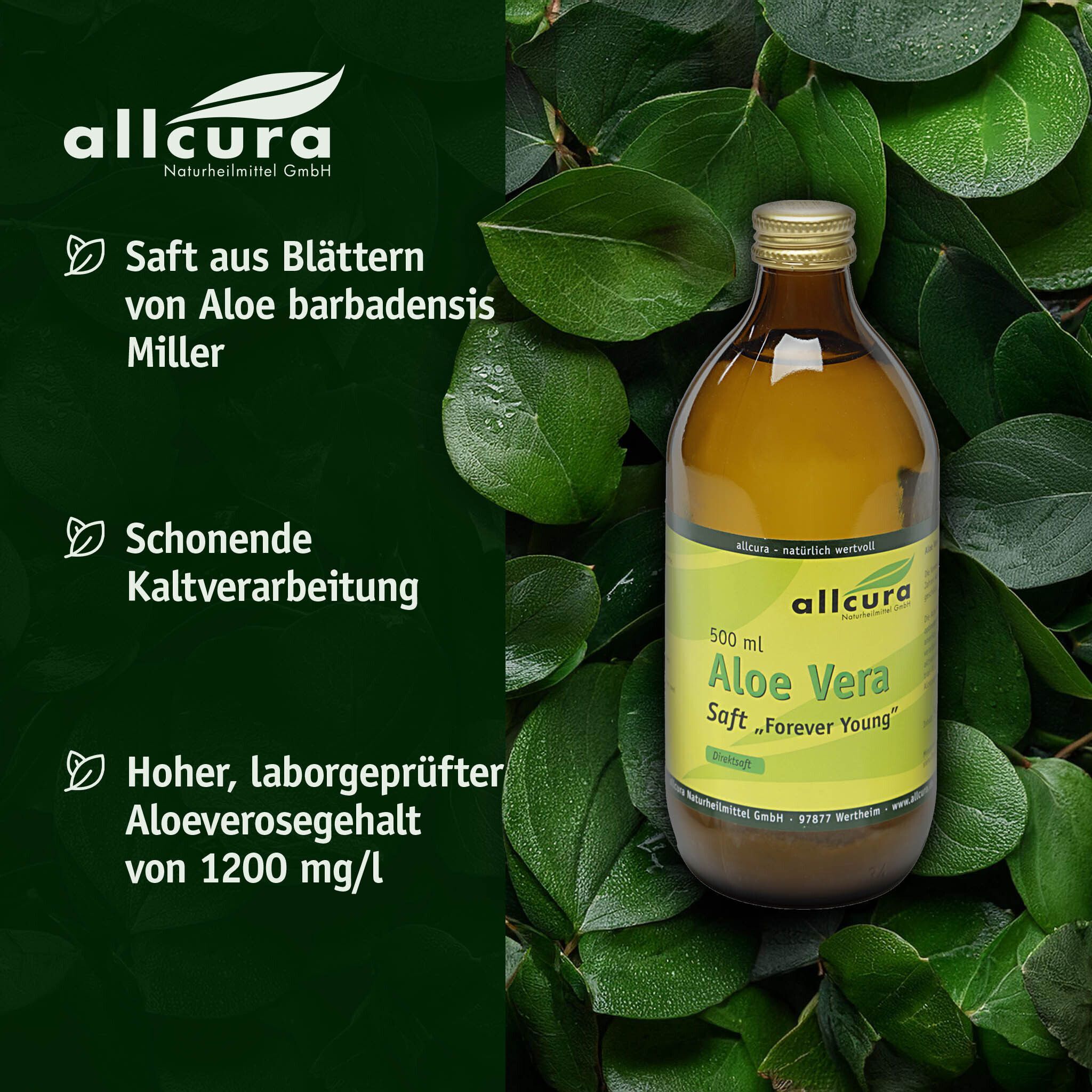 Flasche Aloe Vera Saft "Forever Young" von allcura, 500 ml, mit Hinweisen zu Inhaltsstoffen und Verarbeitung.