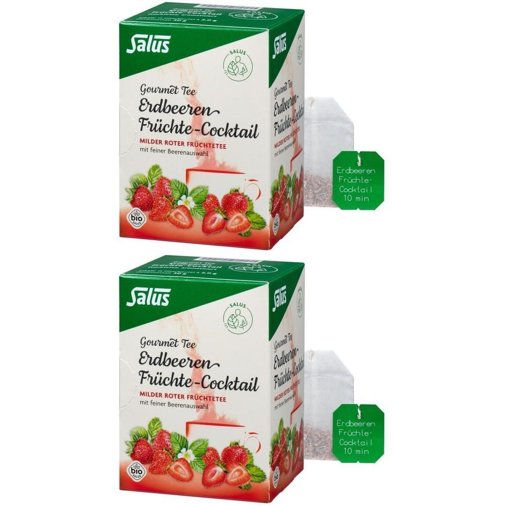Erdbeeren Früchtecocktail Salus Filterbeutel 2x 2x15 St