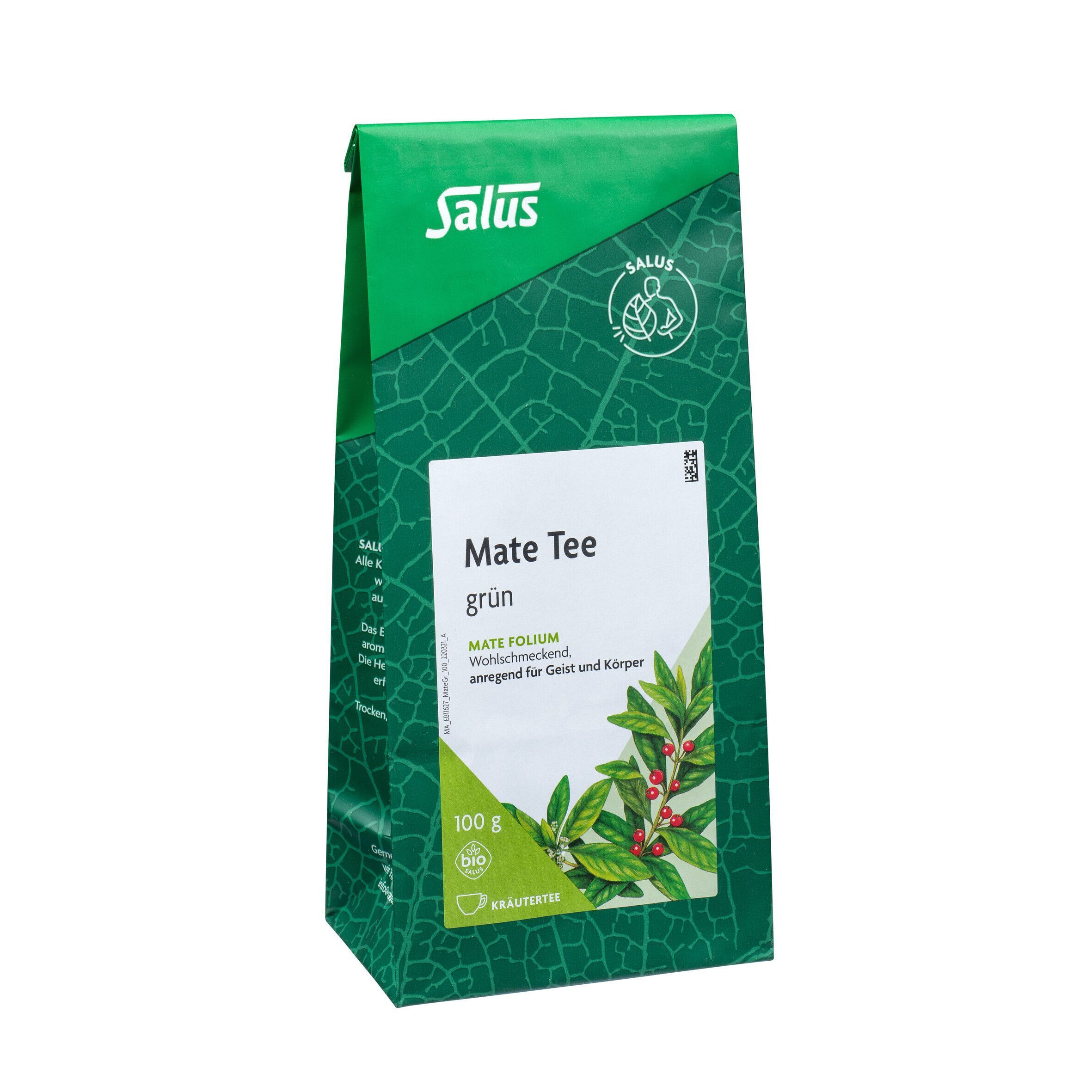Grüne Salus Mate Tee Packung. Aufschrift: Mate Tee grün, 100g, Bio-Siegel.