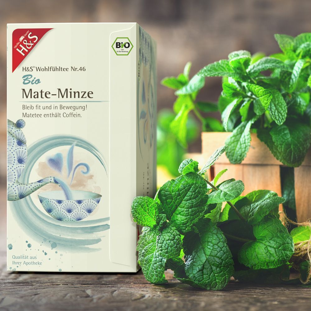 H&S Bio Mate-Minze Filterbeutel Packung neben frischer Minze. Weißer Karton mit blauem Design und Bio-Siegel. Holzuntergrund.