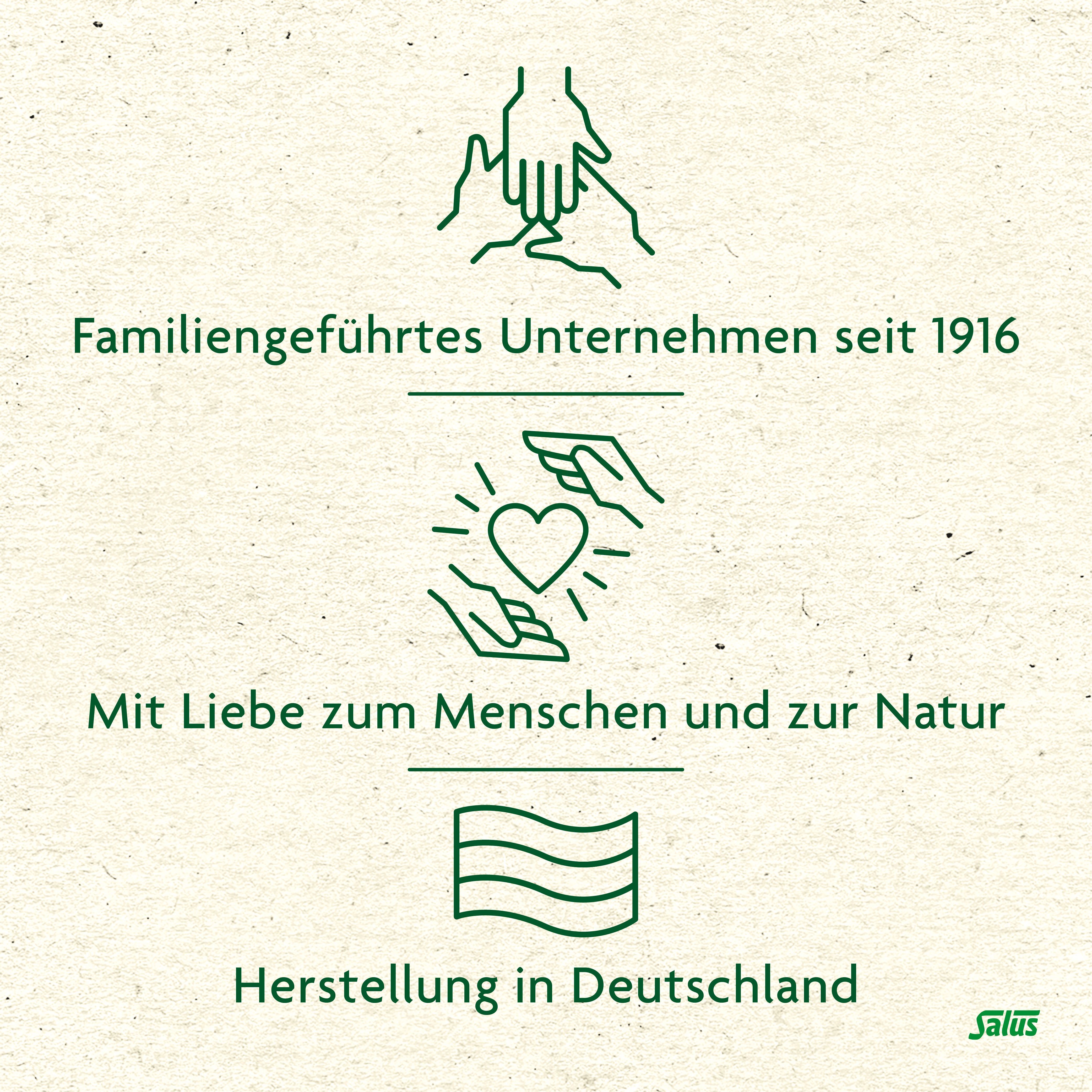 Sonnenuntergang über einem Feld mit blühenden Salbei-ähnlichen Pflanzen. Text: Natur schmecken, Salus Tee genießen!