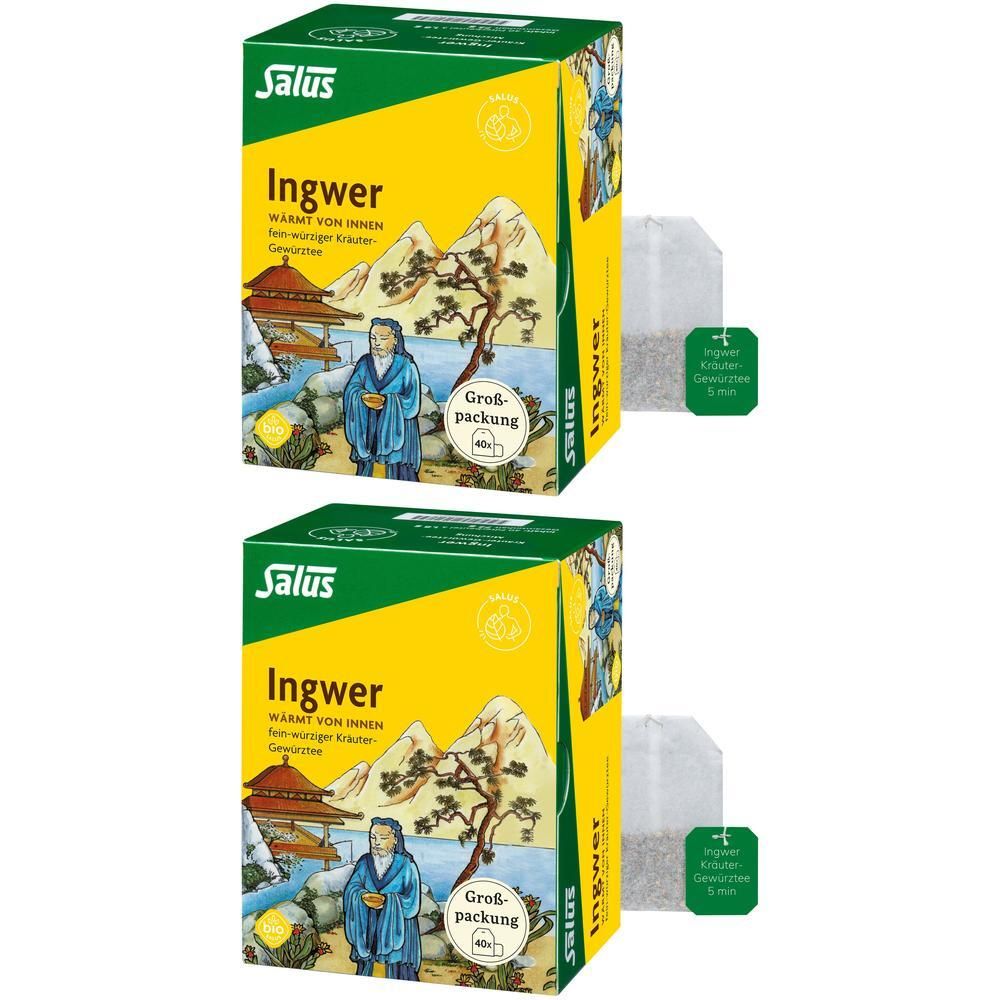 Ingwer KRÄUTER-GEWÜRZTEE-Mischung Bio Salus Fbtl. 2x 2x40 St Filterbeutel