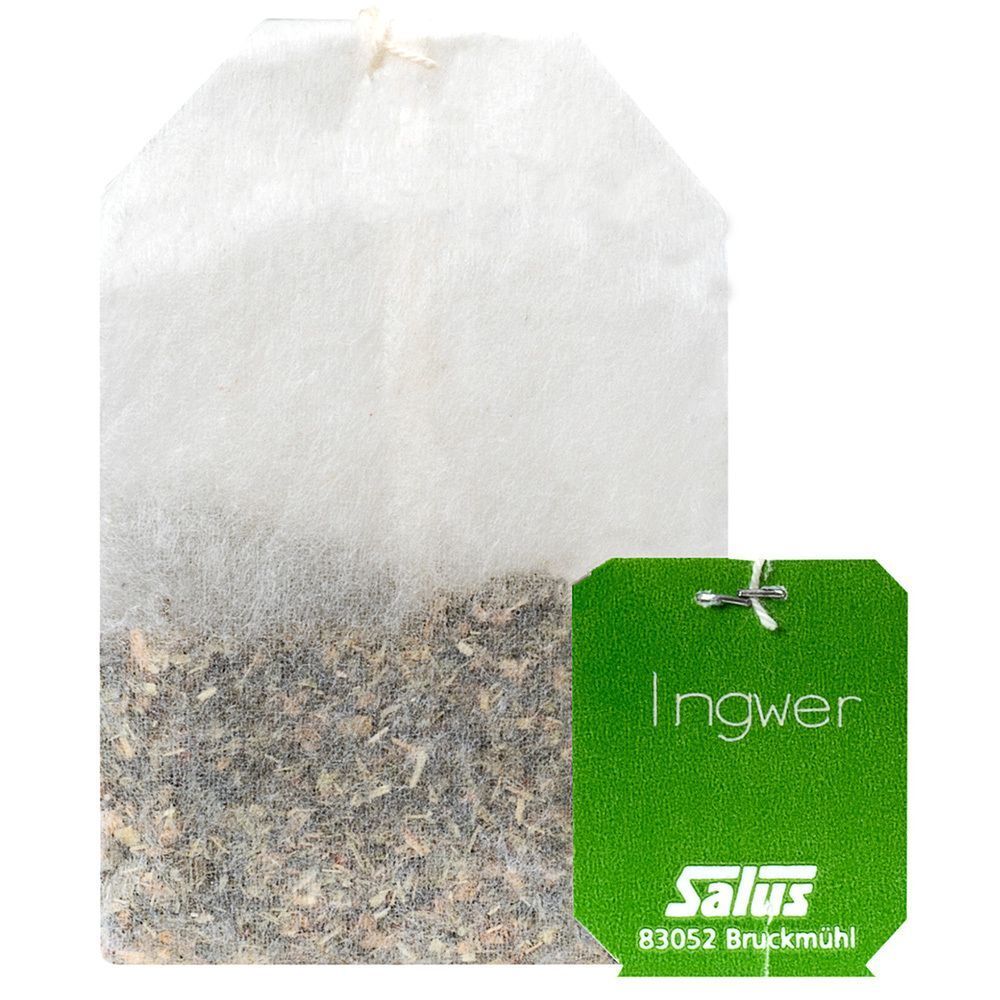 Ein Teebeutel aus Stoff mit grünem Etikett. Aufdruck: Ingwer, Salus, 83052 Bruckmühl.