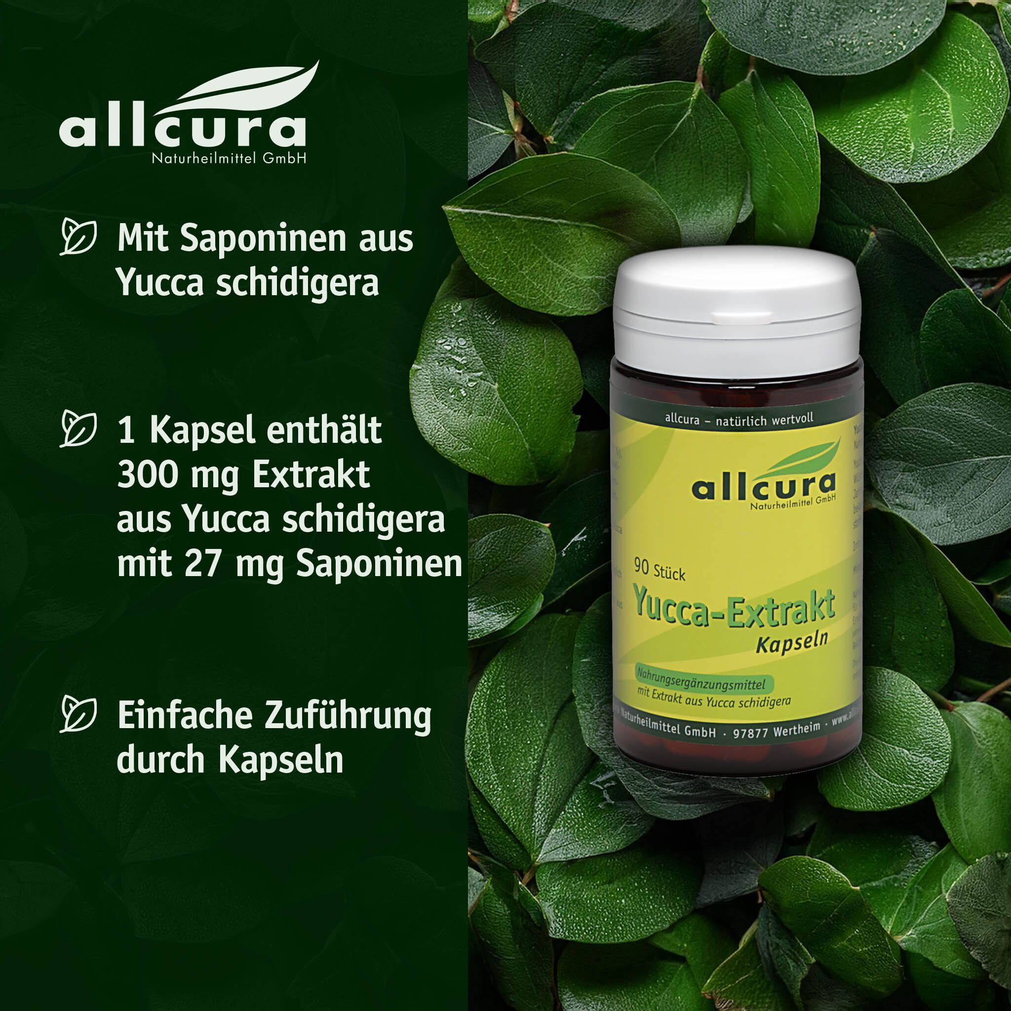 allcura Yucca Extrakt Kapseln Angebot