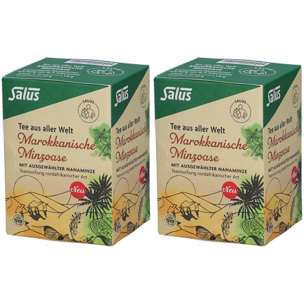 Marokkanische Minzoase Bio Salus Filterbeutel 2x 2x15 St