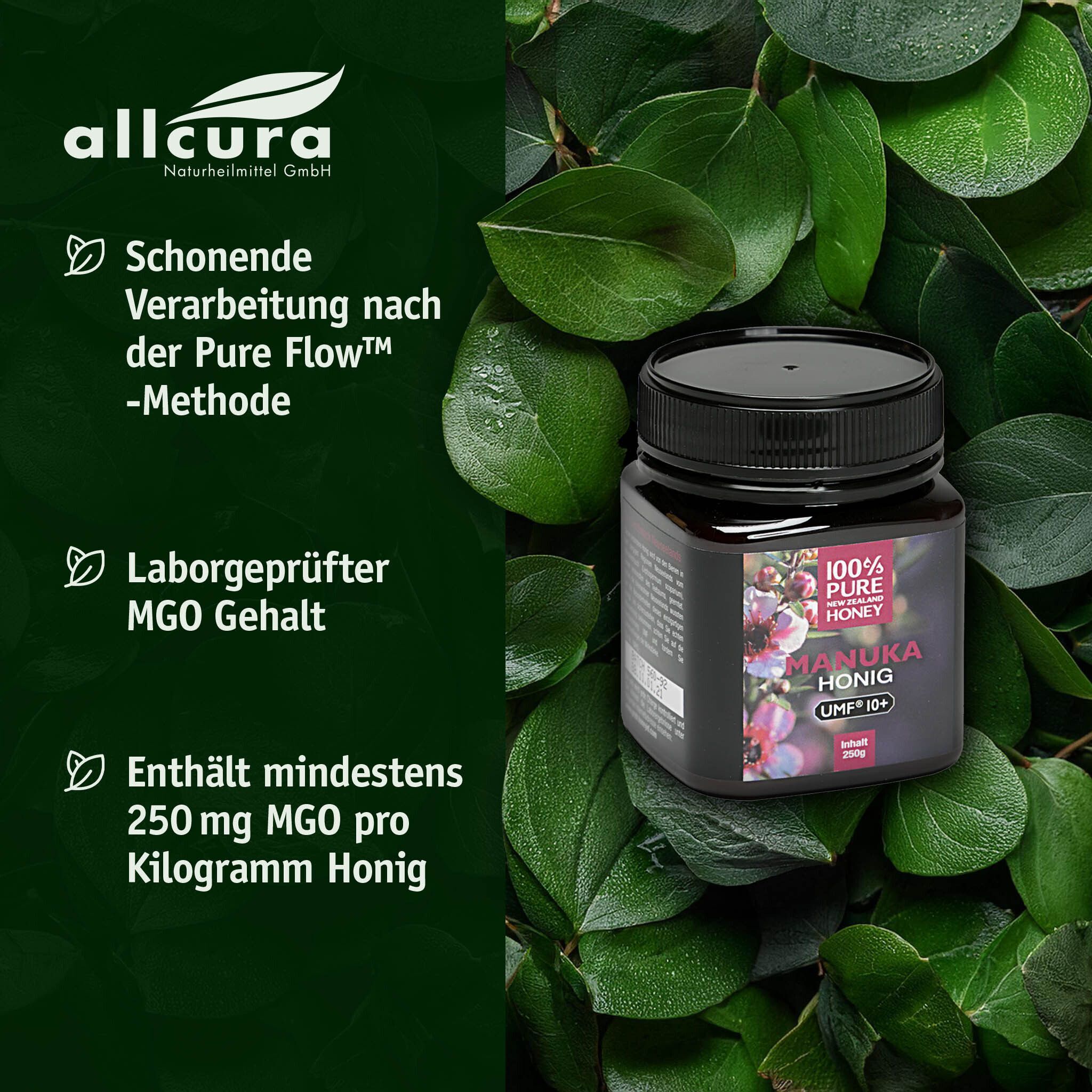Honigglas mit schwarzem Deckel. Etikett mit floralem Design und Text: MANUKA HONIG, UMF 10+. Blätter im Hintergrund.