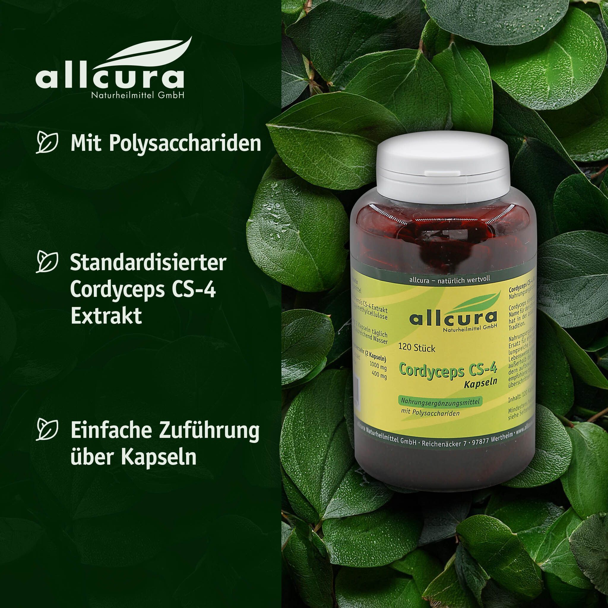 Braune Flasche mit weißem Deckel. Aufschrift: Cordyceps CS-4 Kapseln. Grüner Hintergrund mit Blättern. Text: Mit Polysacchariden.