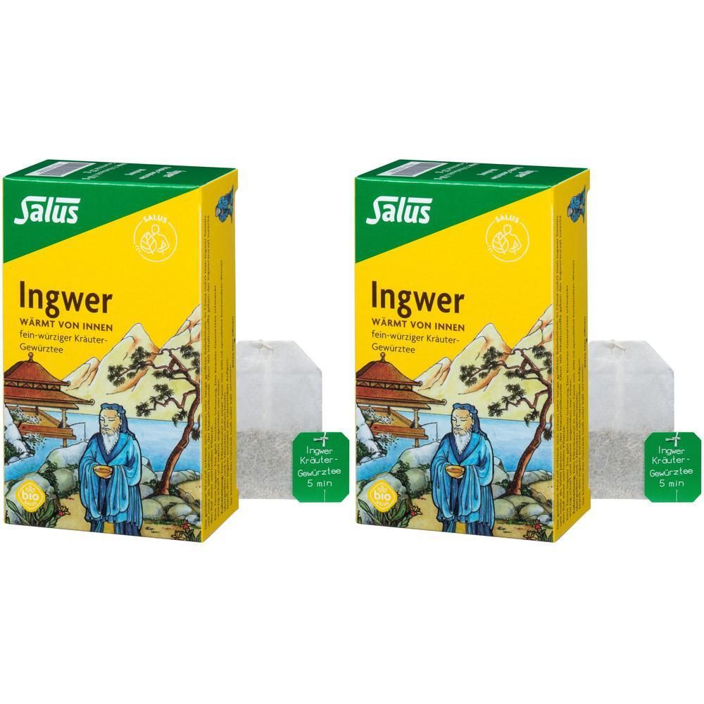 Ingwer Kräuter-Gewürztee Salus Filterbeutel 2x 2x15 St