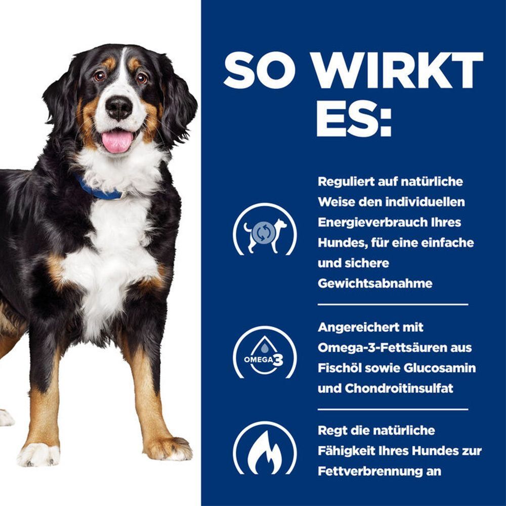 Hund mit Text: So wirkt es: Reguliert Energieverbrauch, angereichert mit Omega-3-Fettsäuren, Glucosamin und Chondroitinsulfat. Fördert Fettverbrennung.