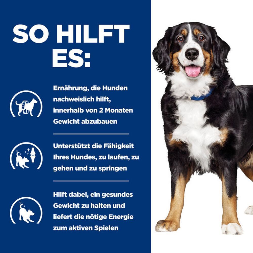 Hund mit Text: So hilft es: Ernährung hilft nachweislich, Gewicht abzunehmen. Unterstützt Laufen und Springen. Hilft Gewicht zu halten und liefert Energie.
