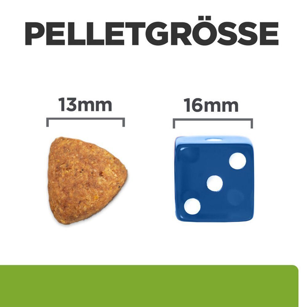 Pelletgröße: 13mm und 16mm. Vergleich mit einem blauen Würfel. Trockenfutter-Pellets.